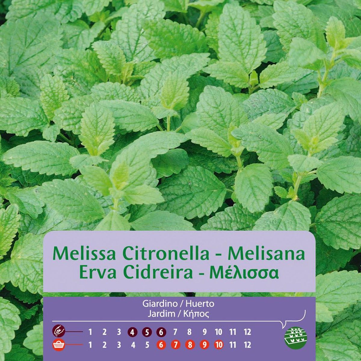 VILMORIN - Semilla Aromática Melisa/Toronjil 1.5 gr Sachet