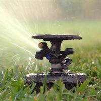 Aspersor AG5 maxi paw