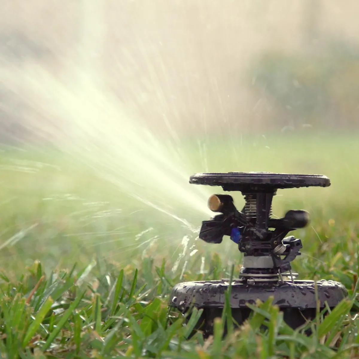 RAIN BIRD - Aspersor AG5 maxi paw