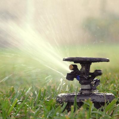 Imagen 2 del producto Aspersor AG5 maxi paw