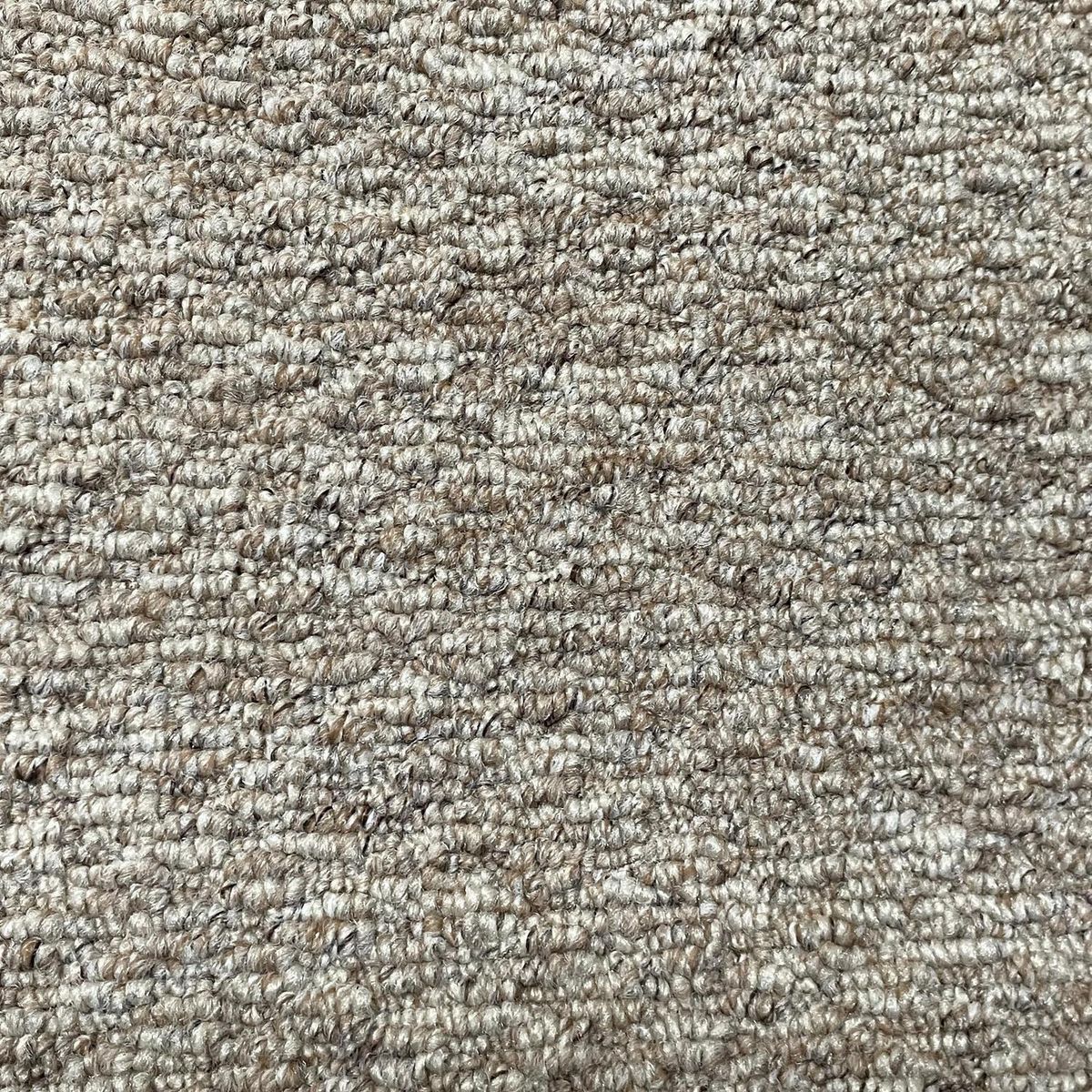 ETERSOL - Alfombra 4x4 m Shetland Acacio 16 m2