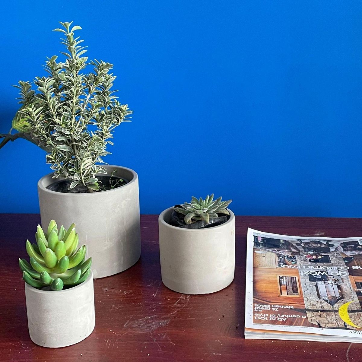 POTTERY - Macetero de Cemento 7.8x7.8 Gris