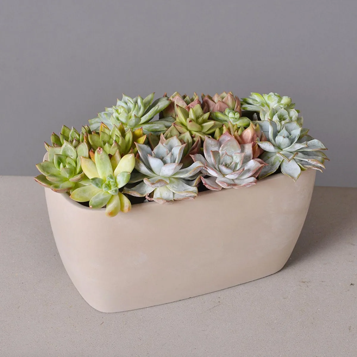 POTTERY - Macetero de Cemento 13.4x12.3 Gris