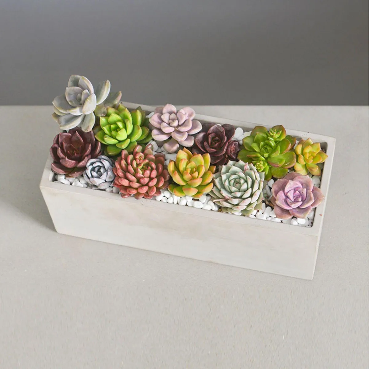 POTTERY - Macetero de Cemento 11.5x12 Gris