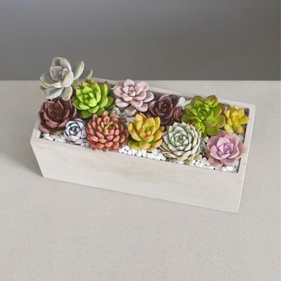 Imagen 2 del producto Macetero de Cemento 11.5x12 Gris