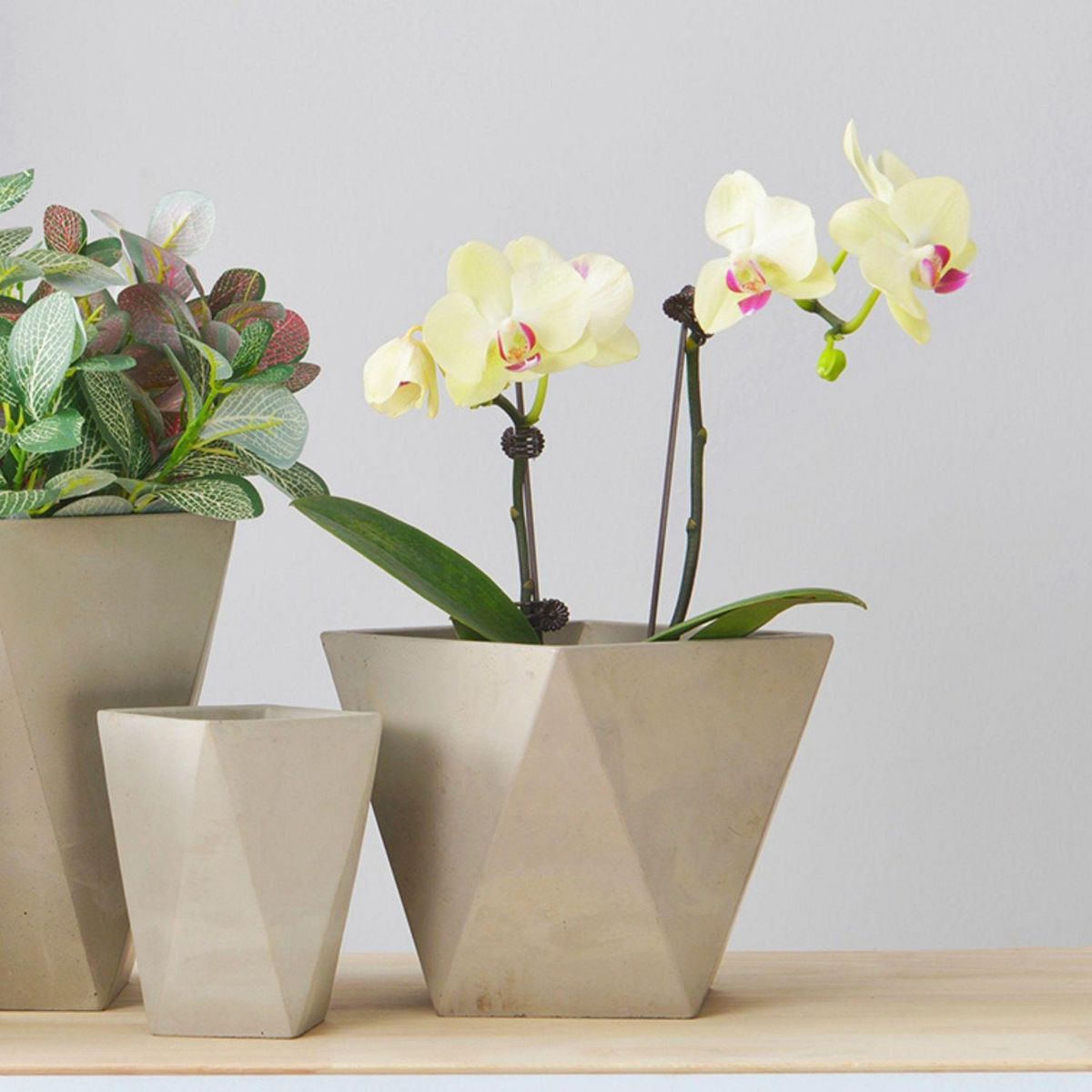 POTTERY - Macetero Trinagular de Cemento 13.5x13.5 Gris