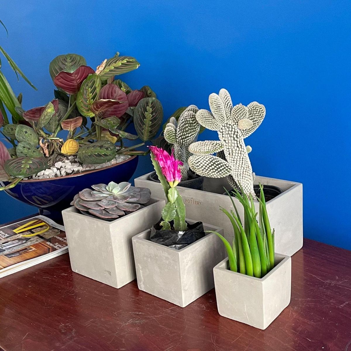 POTTERY - Macetero de Cemento 7.7x7.7 Gris