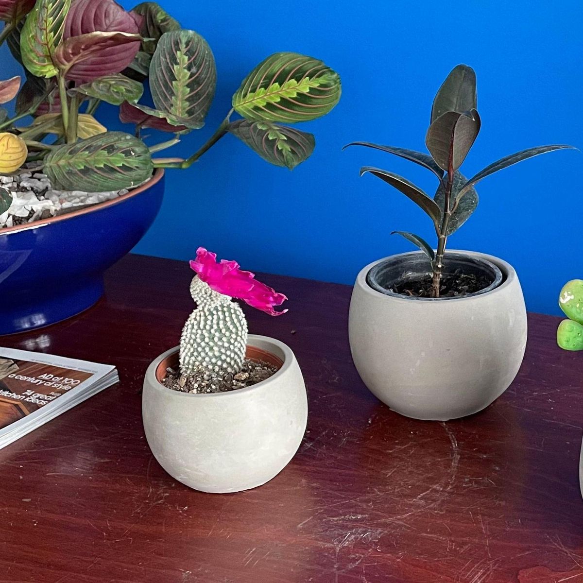 POTTERY - Macetero Ovalado de Cemento 7.8x7.8 Gris