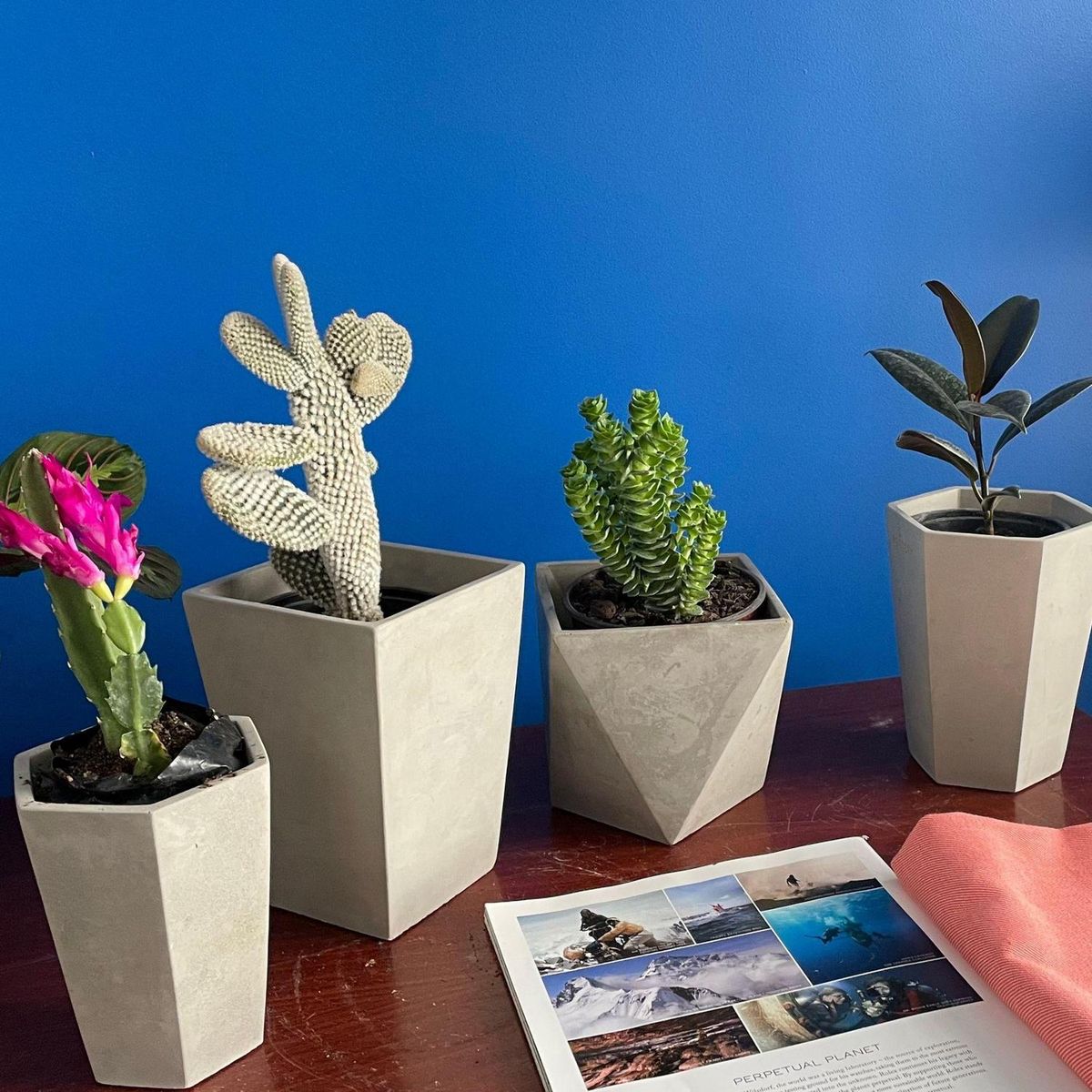 POTTERY - Macetero Hexagonal de Cemento 12.3x13.9 Gris