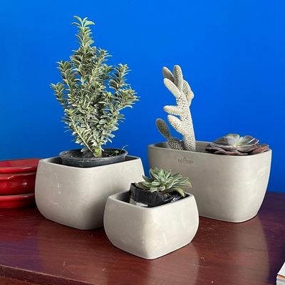 Imagen 2 del producto Macetero Cúbico de Cemento 16.5x10.7 Gris