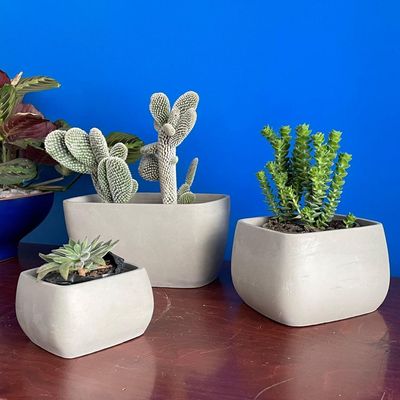 Imagen 2 del producto Macetero Cúbico de Cemento 11.5x7.3 Gris