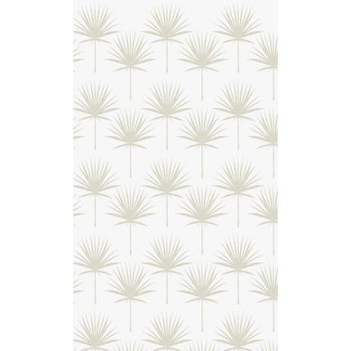 Papel Mural Palmeras Show - 33 10 m2
