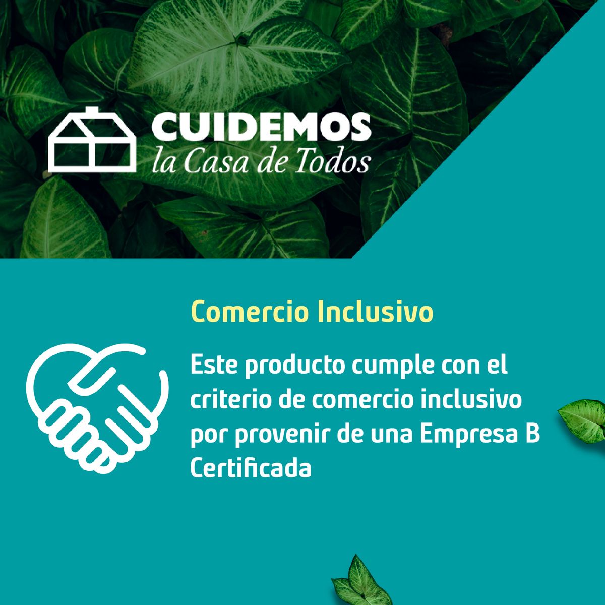 ILKO - Pack 20 Bolsas Herméticas Ilko Sandwich 16x15 Cm Transparentes