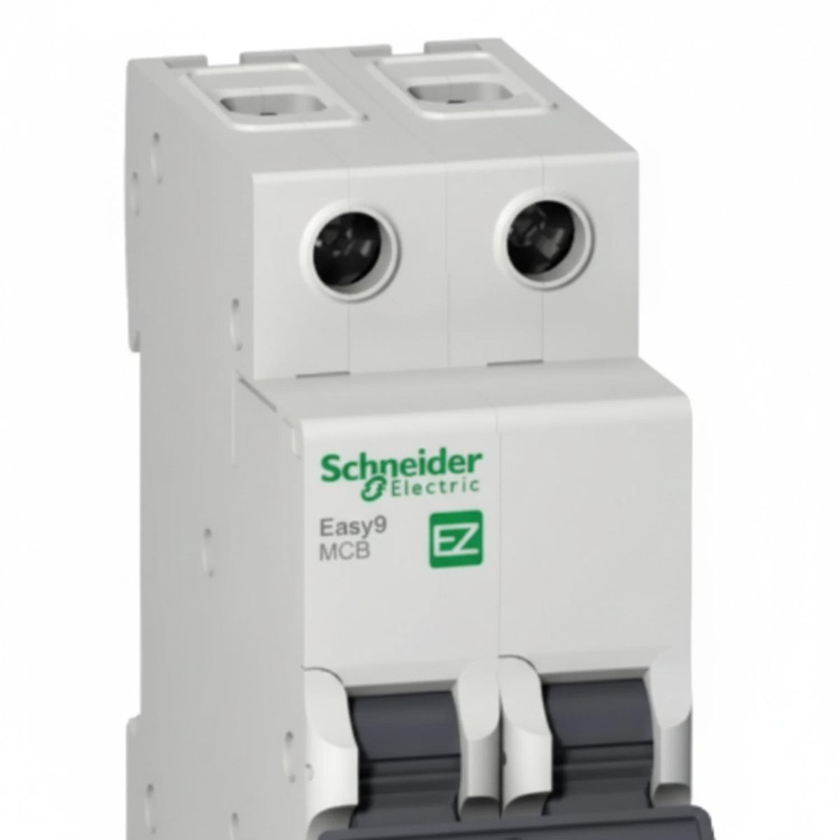 SCHNEIDER ELECTRIC - Interruptor Automatico Bipolar 2x20KA