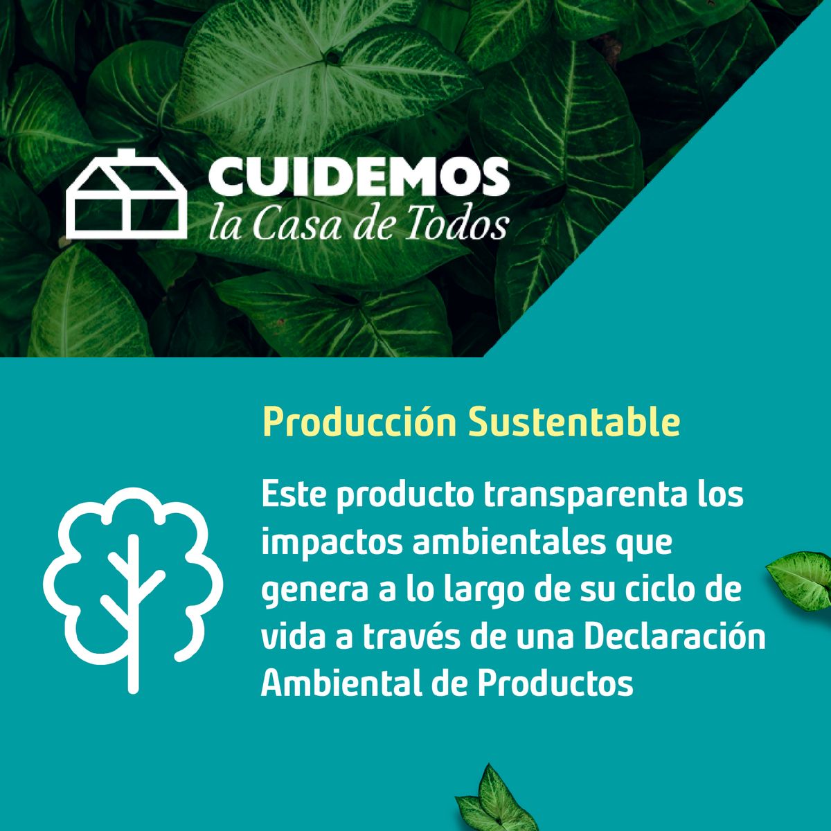 HANSGROHE - Monomando Ducha Venis Cromado