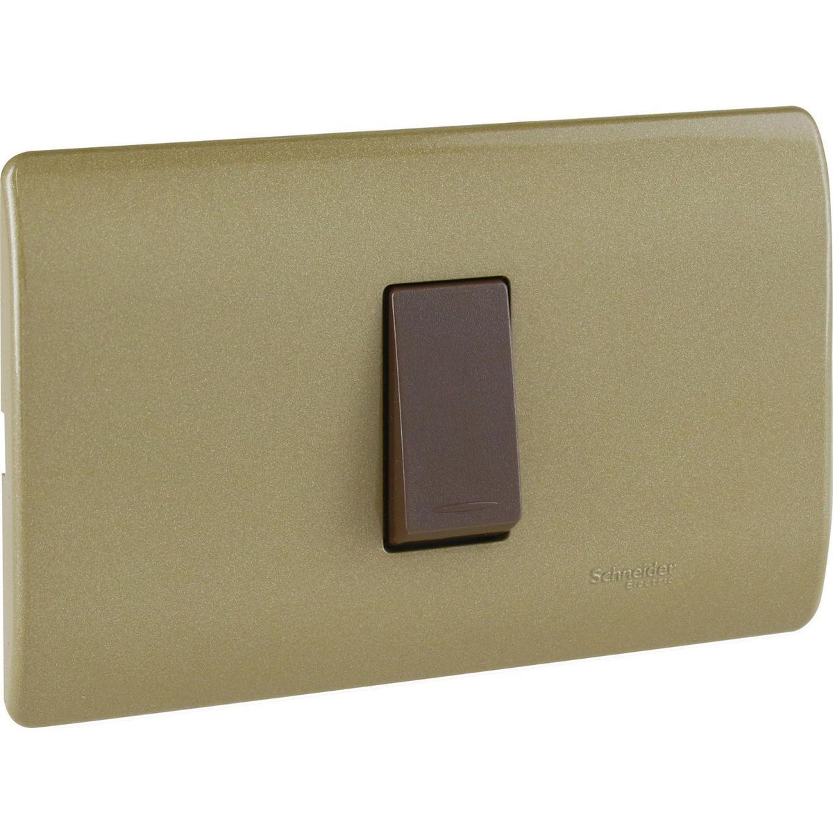 SCHNEIDER ELECTRIC - Placa Genesis armada con interruptor 9/24 dorado