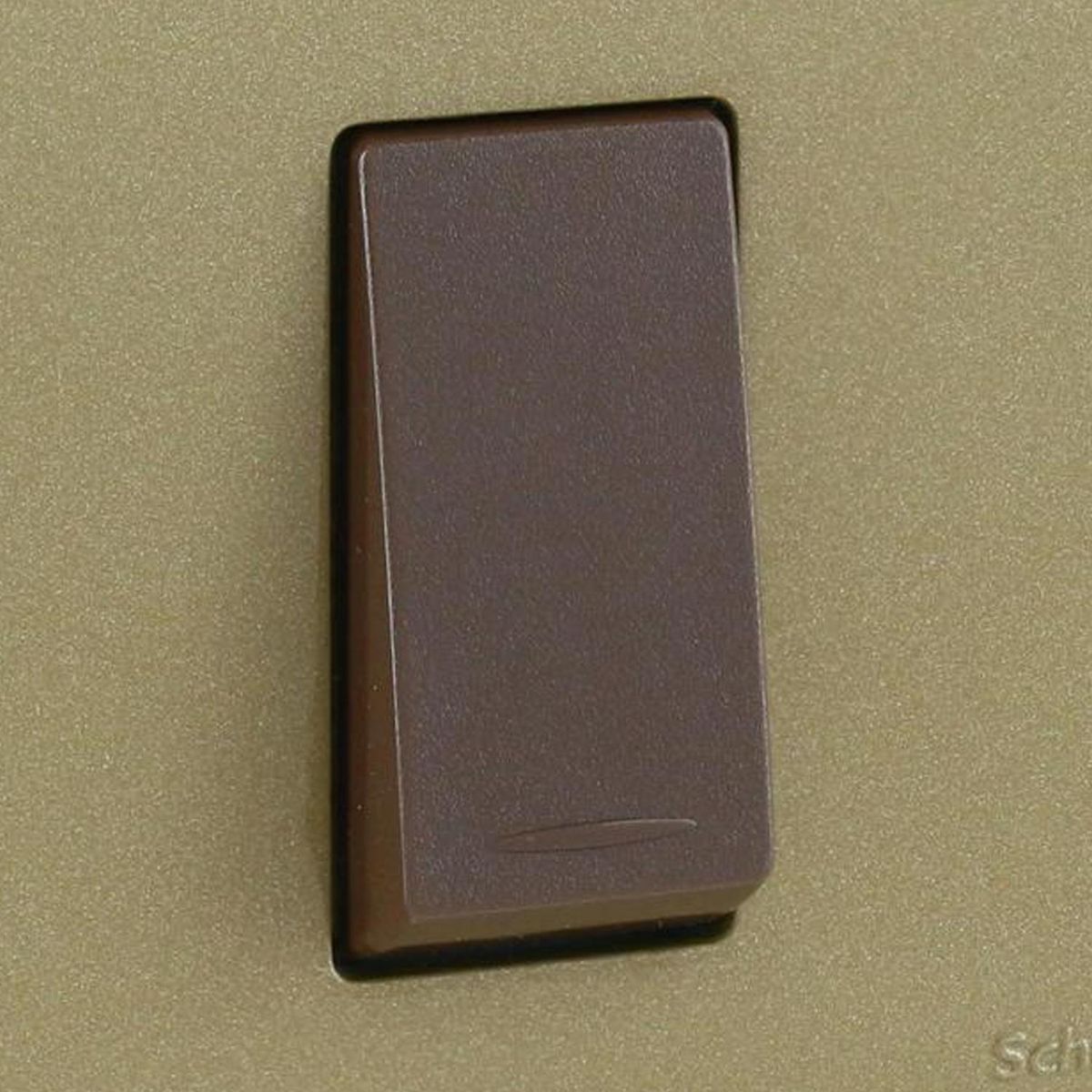 SCHNEIDER ELECTRIC - Placa Genesis armada con interruptor 9/24 dorado