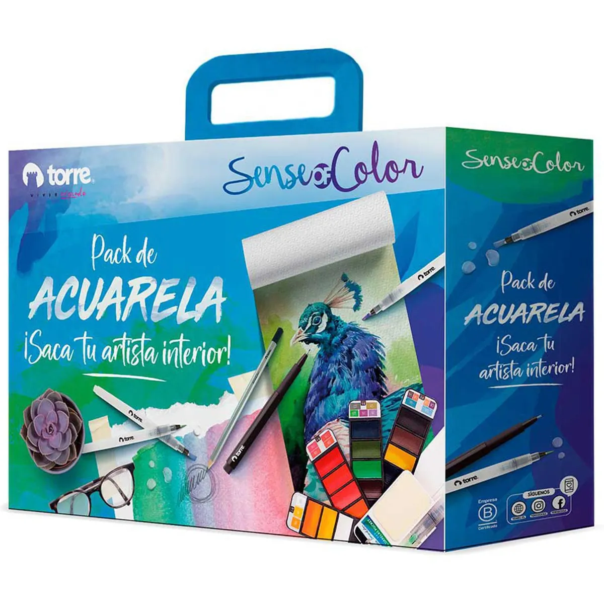 TORRE - Box Sense of color pack de acuarela