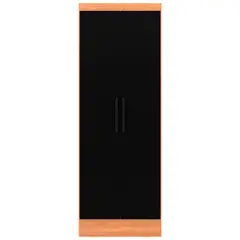 ROCA - Clóset Ámbar 2 Puerta(s) 4 Repisa(s) 65xx37 cm Negro