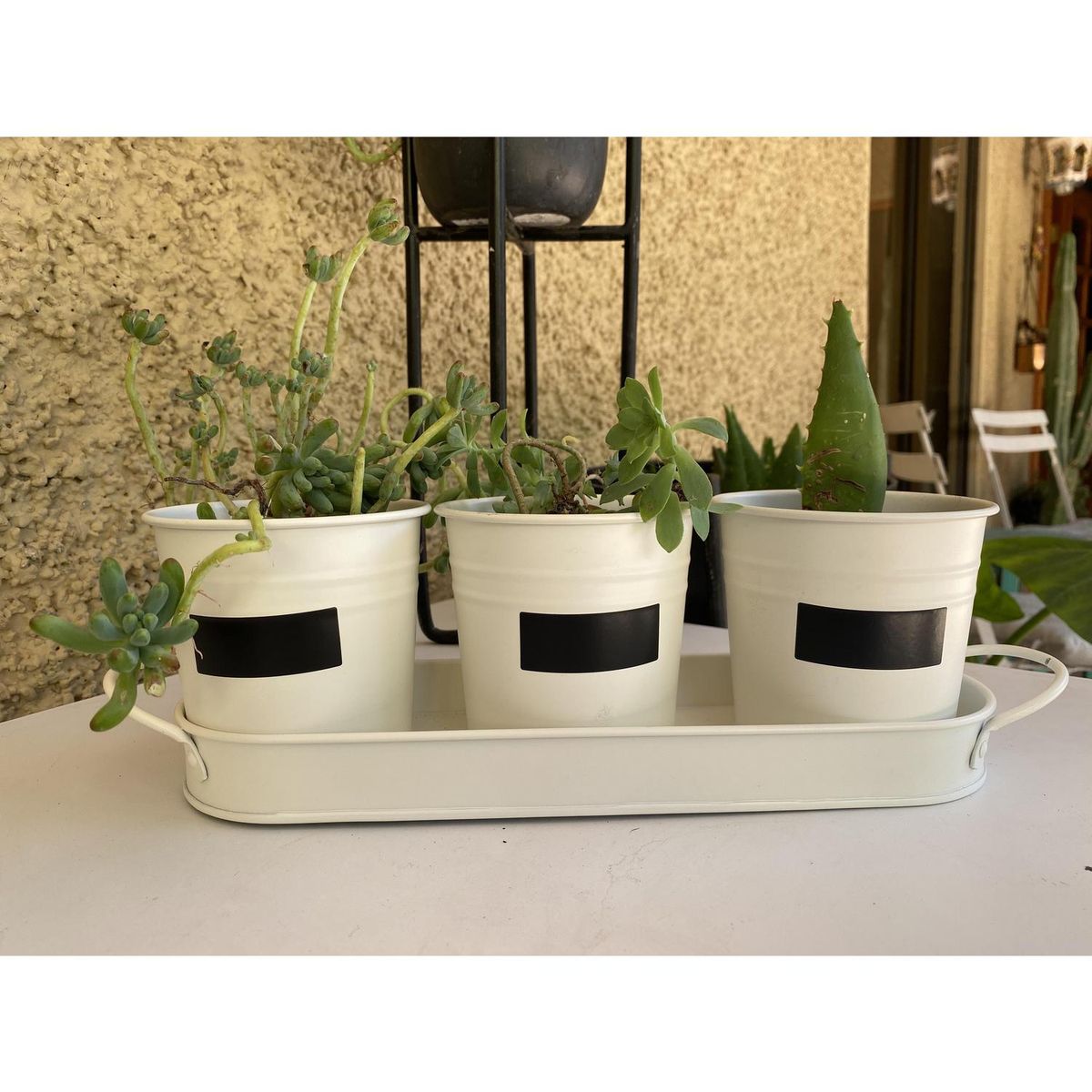 DECOGREEN - Set 3 Maceteros de Metal 30x10 Crema