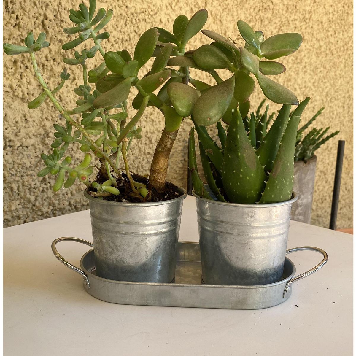 DECOGREEN - Set 2 Maceteros de Metal 20x12 cm Gris