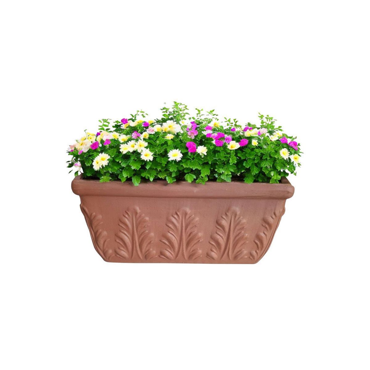 POTTERY - Jardinera Romana Rectangular de Arcilla 17x14.3 Terracota