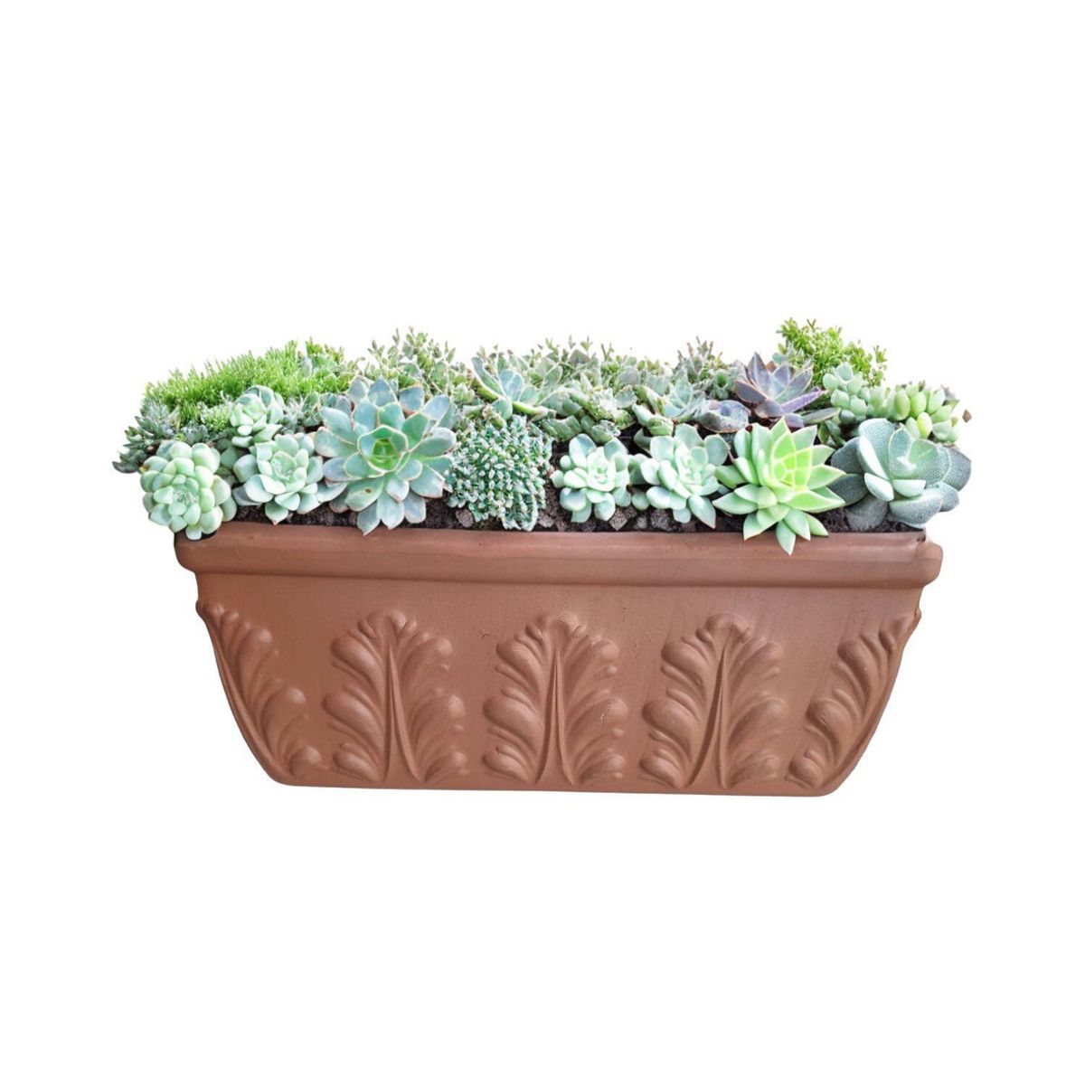 POTTERY - Jardinera Romana de Arcilla 19x17.2 Terracota