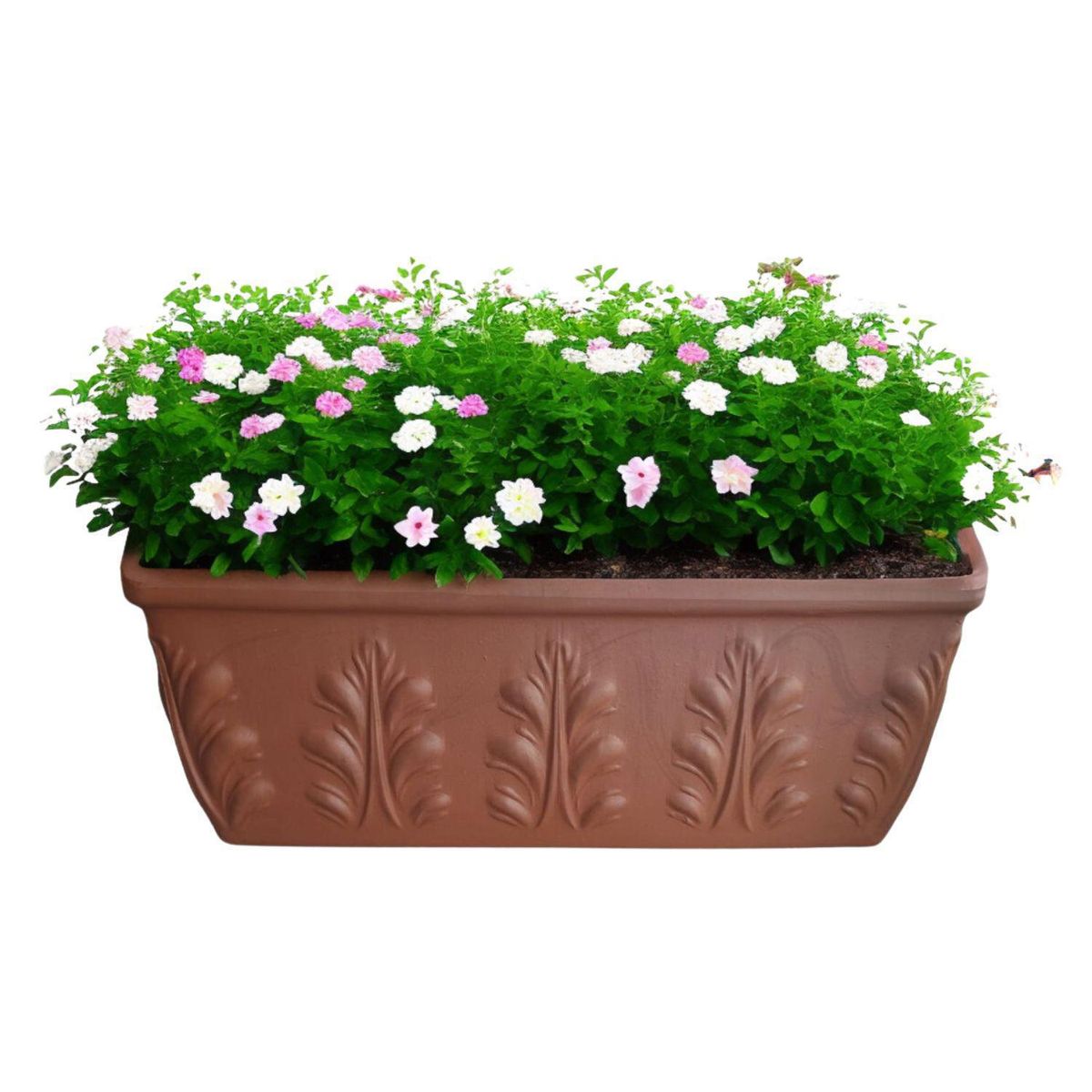 POTTERY - Jardinera Romana de Arcilla 22x19.2 cm Terracota