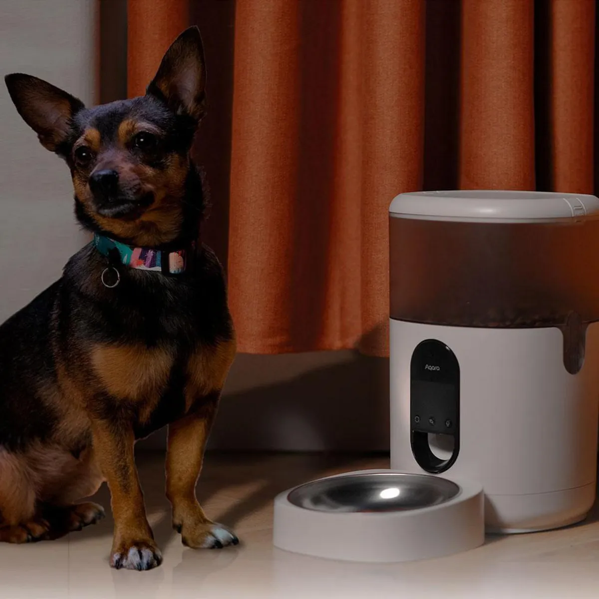 AQARA - Alimentador Mascotas Inteligente C1 Wifi