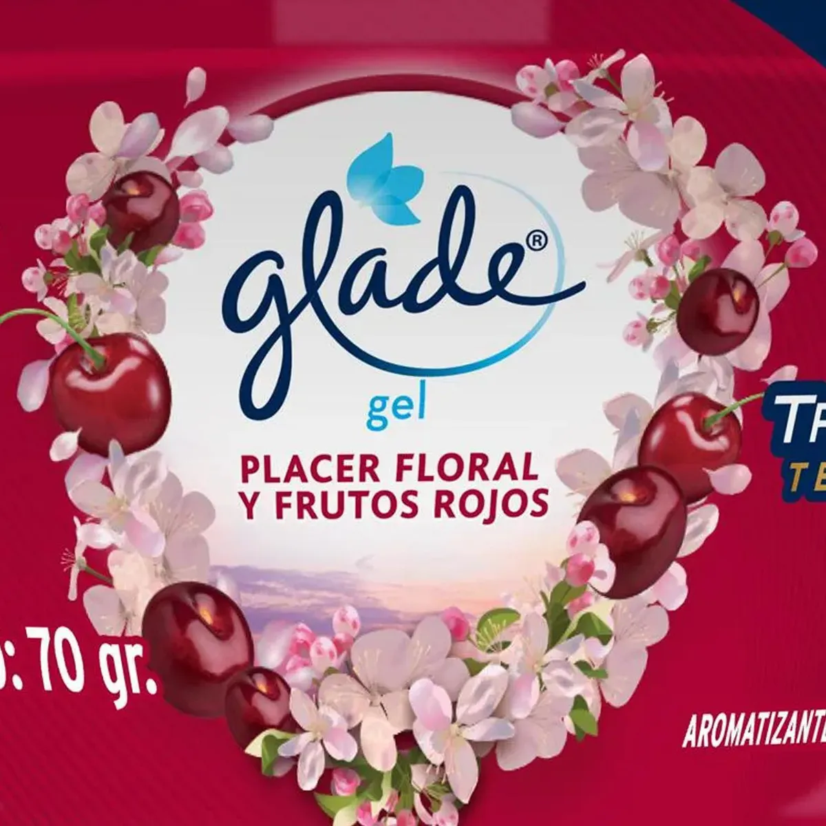 GLADE - Aromatizante Mini Gel Placer Floral 0.07 kg