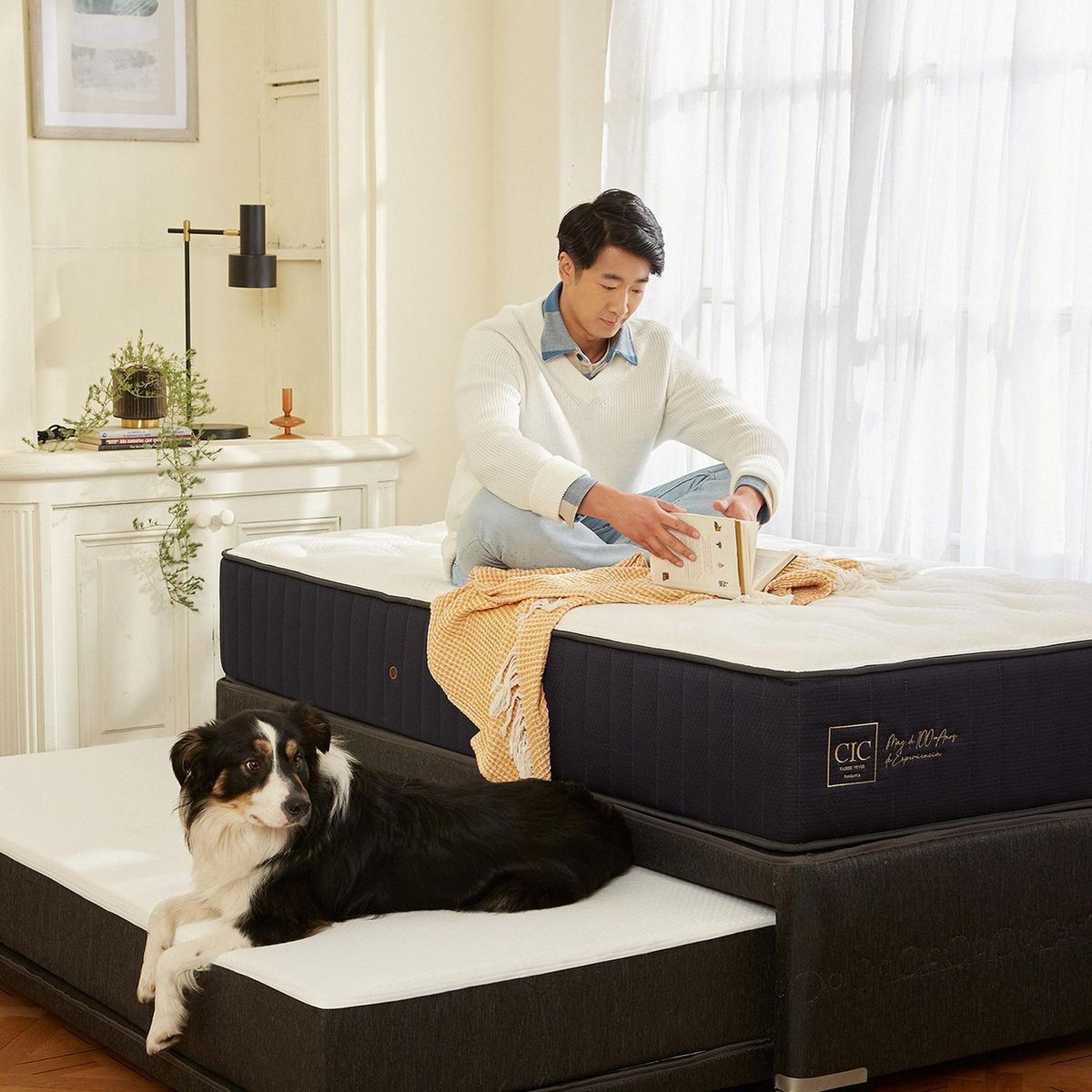 CIC - Diván 1.5 plazas Nido Premium Azul marino; blanco