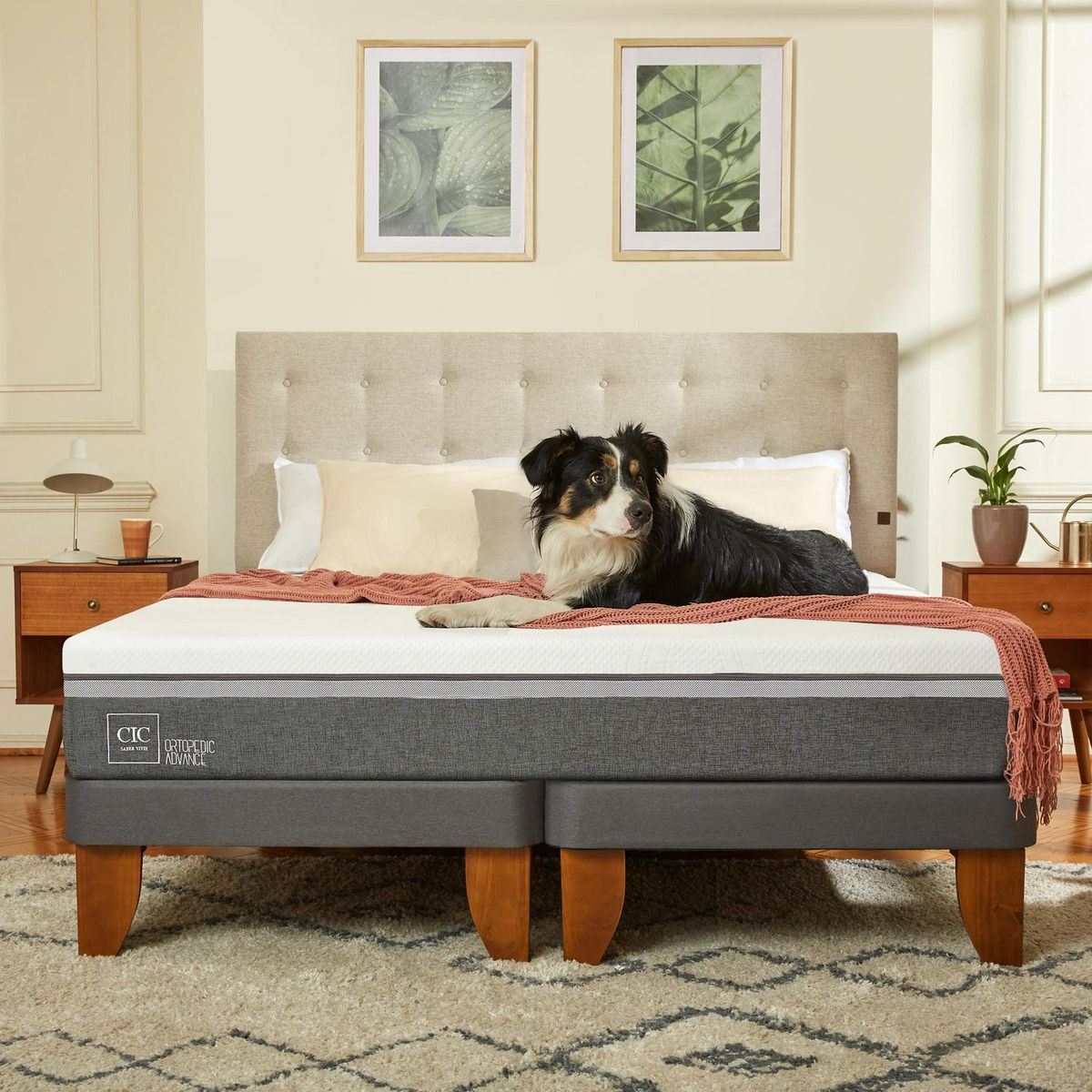 CIC - Cama Europea ortopedic advance 2p bn Respaldo Dublin alpino