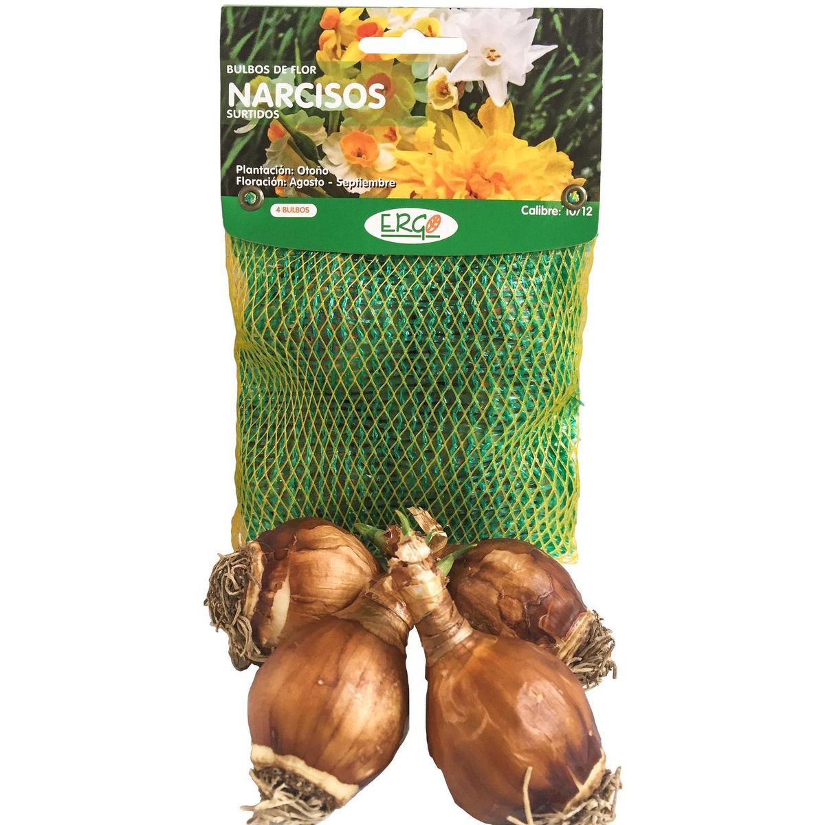 ERGO - Bulbo narciso surtido 4 unidades