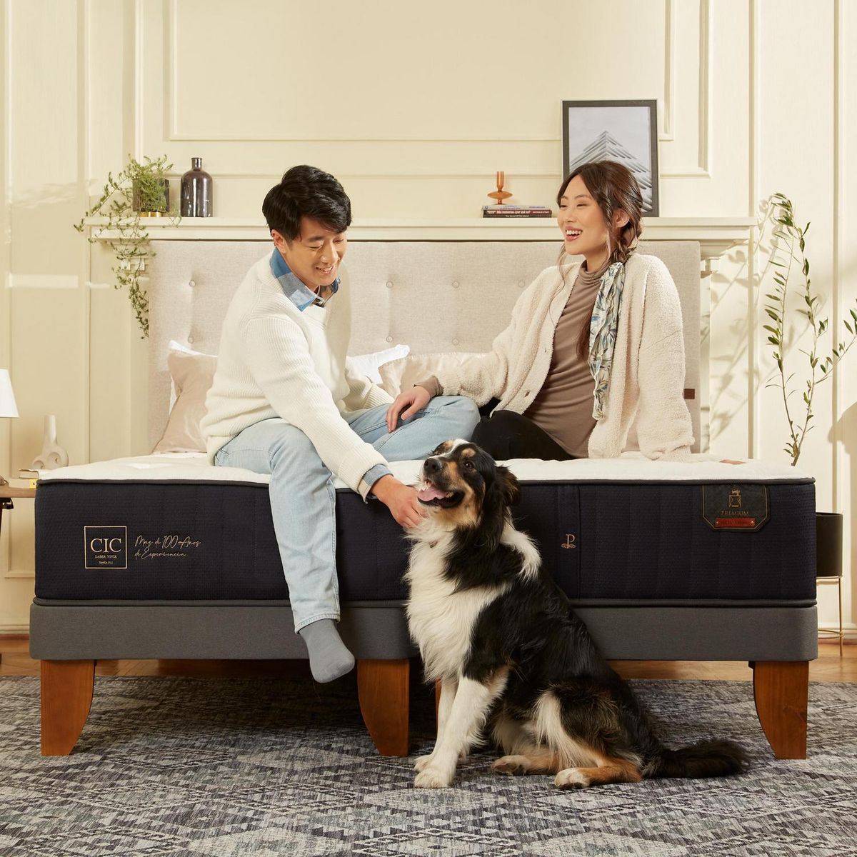 CIC - Cama Europea Premium 2P Bd Respaldo Munich Alpino