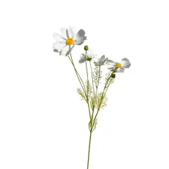 FLORACENTER - Cosmos artificial 92cm blanco