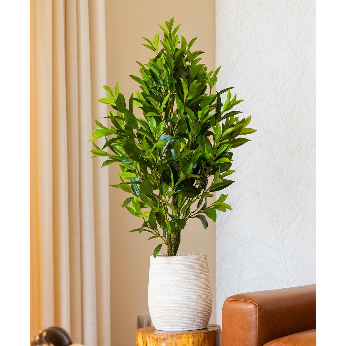 Planta Artificial Jade 135 cm Verde, marca GENERICO - Foto 2