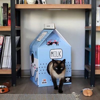 Imagen 2 del producto Rascador para gato caja de leche color azul, incluye hierba gatera