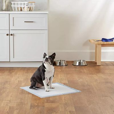 Imagen 2 del producto Sabanillas entrenamiento para mascotas 60 x 58 cm 30 unidades