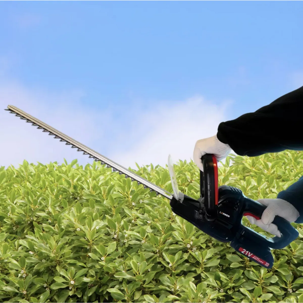 LERNEN - Corta Setos Inalámbrico a Batería XL