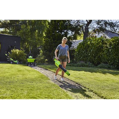 Imagen 2 del producto Soplador Pro Inalámbrico 48 V/KIT