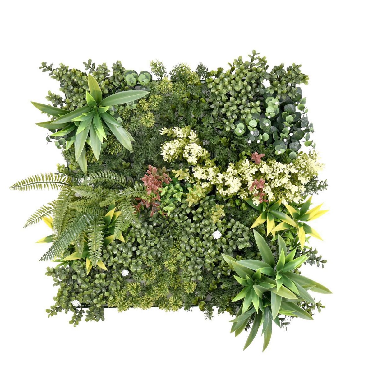 SIGNET CLASSICS - Jardín Vertical 50 cm Verde