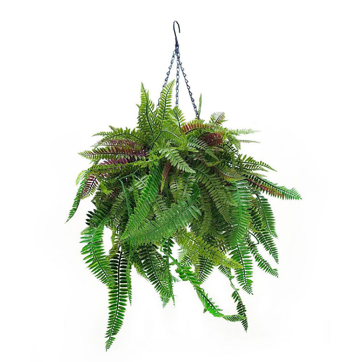 SIGNET CLASSICS - Canasta Helechos Artificial 85 cm Verde