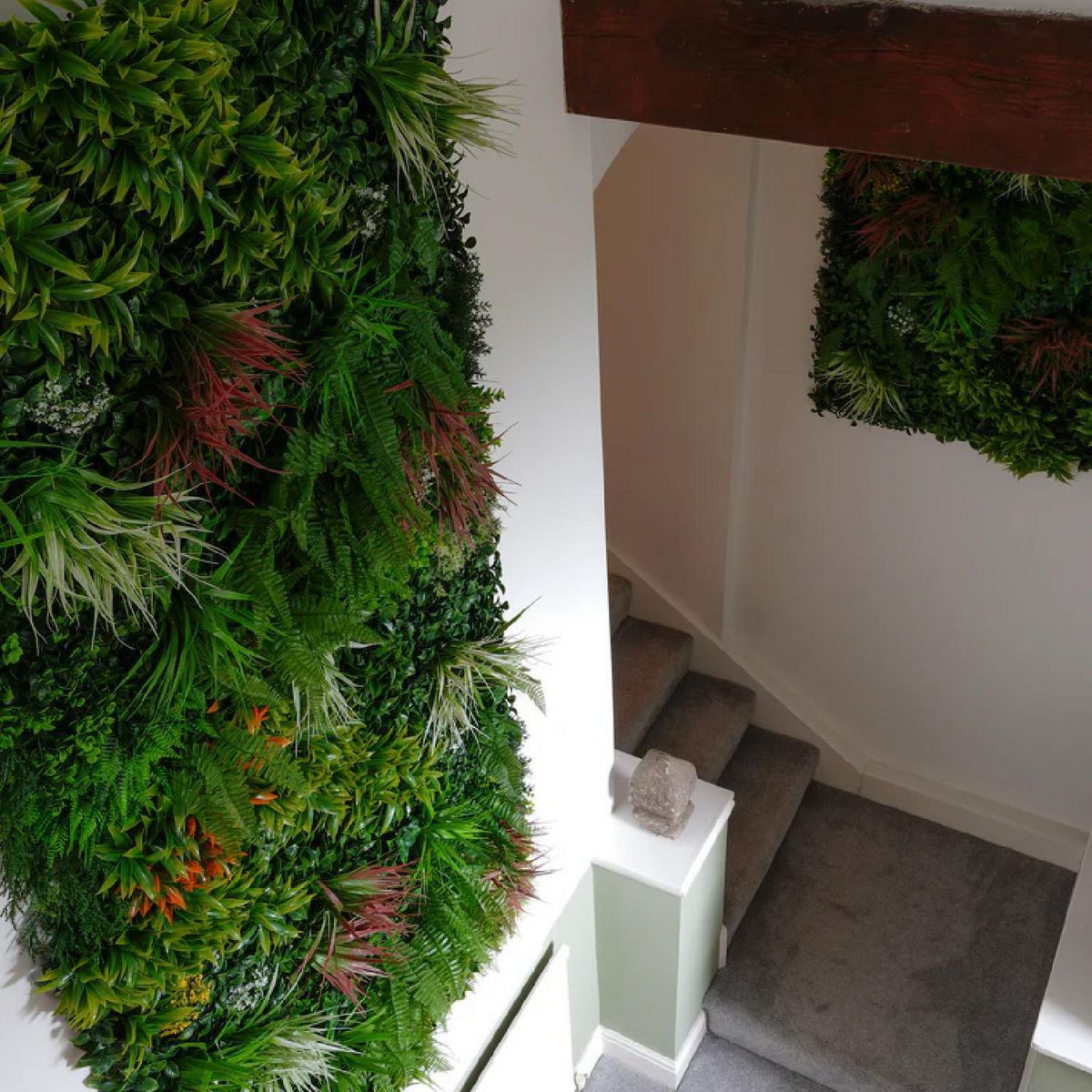 SIGNET CLASSICS - Jardín Vertical 100 cm Verde