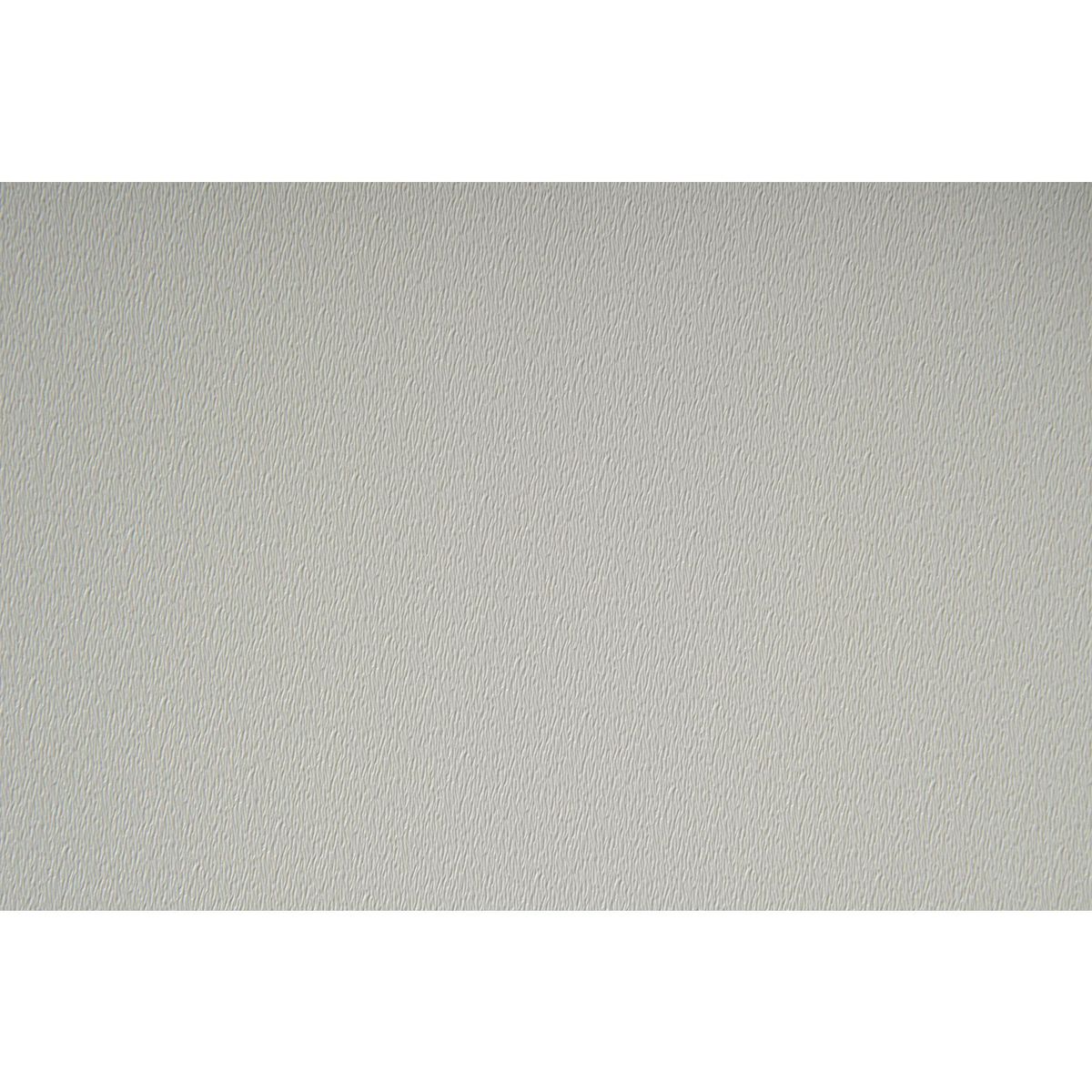 ONEDECO - Papel Mural Silk Blanco 14 m2