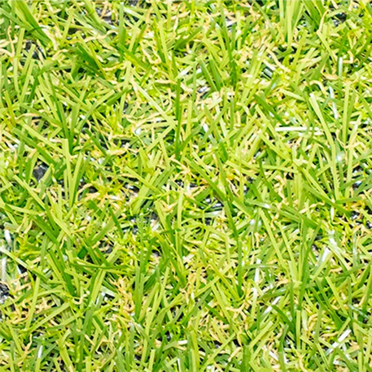 WINTER - Pasto Sintético Prado G15 15 mm 4x10 metros