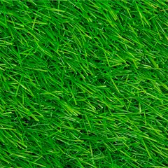 WINTER - Pasto Sintético Prado G30 30 mm 4x9 metros