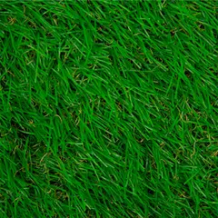 WINTER - Pasto Sintético Prado G35 35 mm 4x5 metros