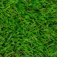 WINTER - Pasto Sintético Foresta P30 30 mm 4x7 metros