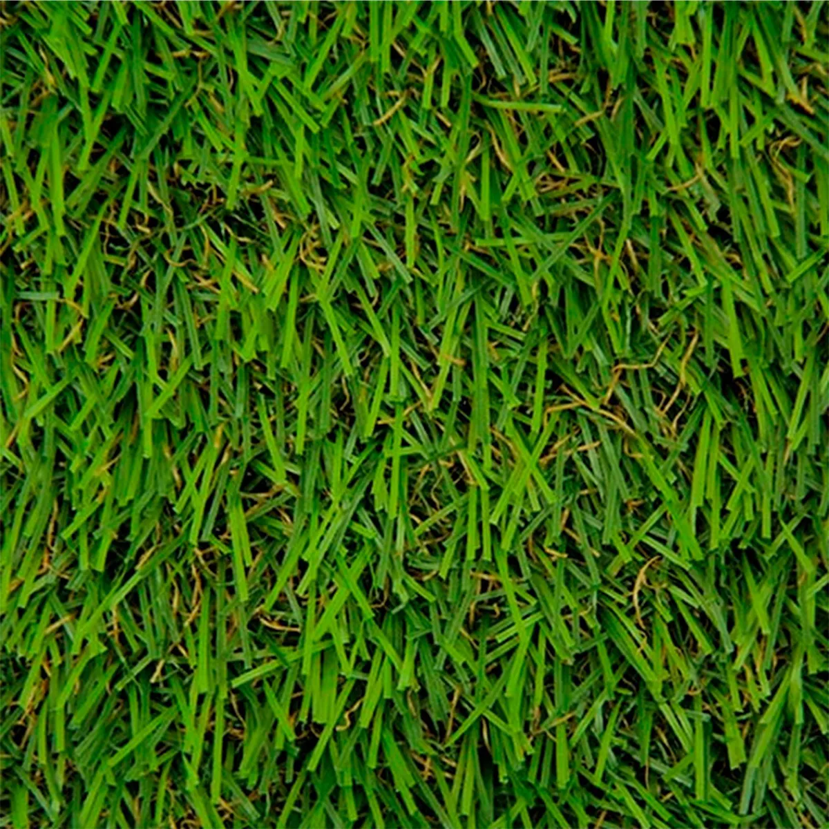 WINTER - Pasto Sintético Foresta P20 20 mm 4x1 metros