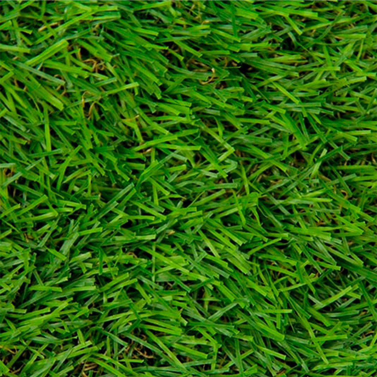 WINTER - Pasto Sintético Foresta P30 30 mm 4x9 metros